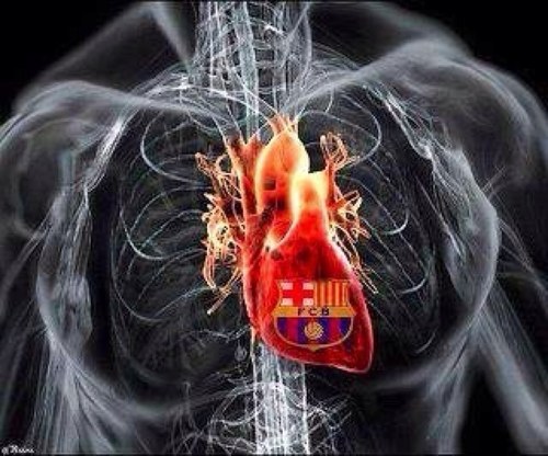 muy culé y hasta el gorro de estos políticos que tenemos Visca el Barça