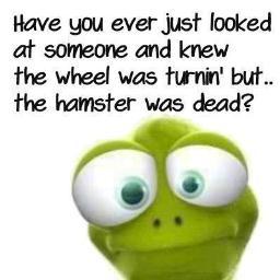 WeazieGUK's profile picture. 