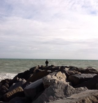 Patient safety obsessive, geriatrician, flautist, dog lover and walker. Opinions my own