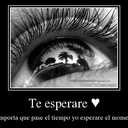 Ofelia Leon - @ofe1967 - Twitter