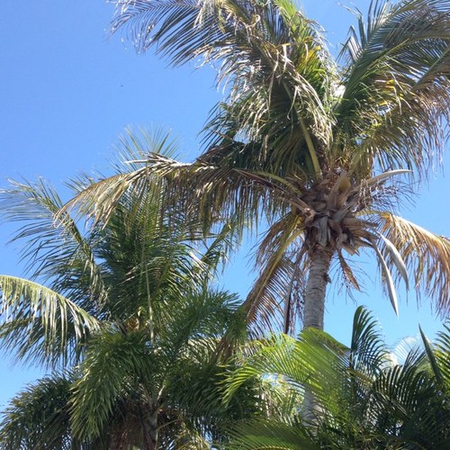 suzieeeeeeq's profile picture. 