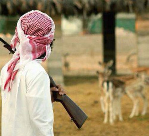 al_haim11's profile picture. آللي حشم قدري آضمہ بآلآحدآق
ۆآللـي همـل قلبـي محـلل برآيـہ

 ۆآللـي ترگنـي للزمن بعد ميثآق !
 مآ آستغربہ گآنہ حگى في قفآيہ