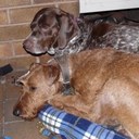 Angela Cooke - @HattiCooke - Twitter