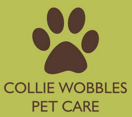Collie Wobbles provides professional and loving care for all domestic pets in the South Derbyshire area.  Check out @barkingborders and @kimgeering