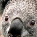 joshua starks - @JoshuaSnd3 - Twitter