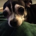 Chloe Burgess - @Chloeernestine - Twitter