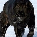 jeff tharp - @whyyou345 - Twitter