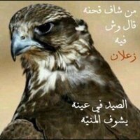 Ⓜ رتويت للجميع Ⓜ (@rt_qq8) 's Twitter Profile