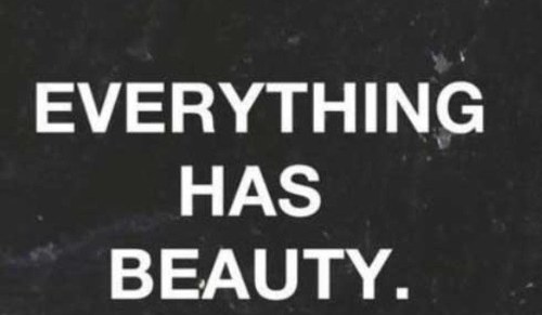 lannahlambert's profile picture. im 13 I LOVE ONE DIRECTION !) U GUYS ROCK i love to sing HARRY UR MY LOVE love u ONE DIRECTION INFETCION i want ro be a famous singer i love to sing :D