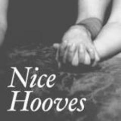 Nice Hooves is a group of five people from Detroit who make music right now.