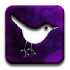 FASTFollowBCK Profile Picture