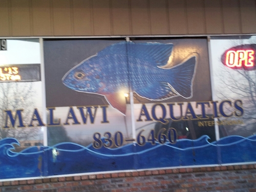 Retail tropical fish store