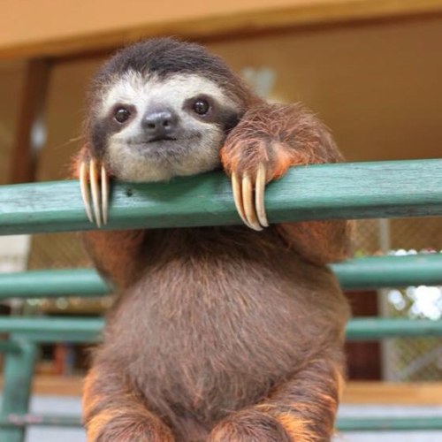 seaspray85's profile picture. Give 100% to everything you do, except when giving blood.