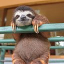 sara hester - @seaspray85 - Twitter