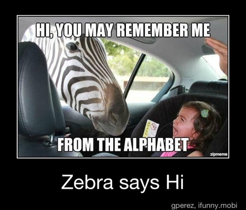 OversizedToad's profile picture. 