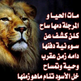 عندما تررحل احد احلامك فذلك لان احدا اخر على وشك الوصول .. تفاءلوا دائما..