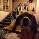 Bill Goetz - @bgtz26 - Twitter