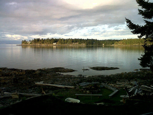 islandtaxlady's profile picture. Tax expert on Vancouver Island, B.C.