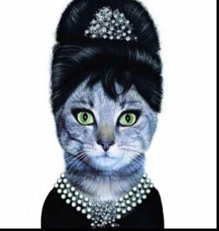 If I want to hear the pitter patter of tiny little feet I'll put shoes on my cat, and BTW, if I can't be a good example then let me be a horrible warning.