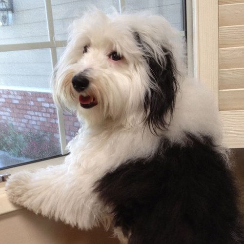 curlyconway's profile picture. 