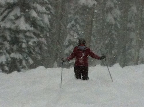 Karendw1Karendw's profile picture. 