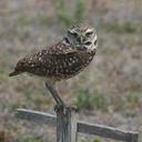 Seth Maddox - @seth_maddox - Twitter