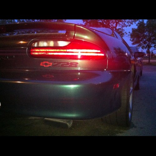 carmasciarra's profile picture. 