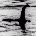 Dr Vincent Wingate - @VinceWingatePhD - Twitter