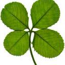 Tracy Abney - @303TracyAnn - Twitter