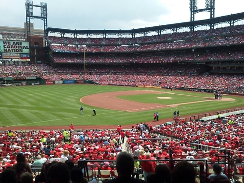 song bird of my generation st. louis cardinals fanatic