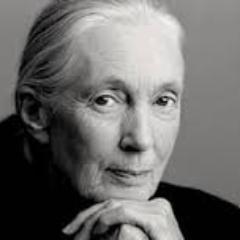 Jane Goodal