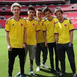 In love with One Direction