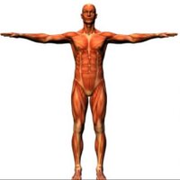 Physiotherapy (@physiotherapy55) 's Twitter Profile