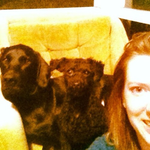 Cultural manager. Lover of dogs and underdogs.