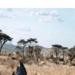 Empyre_CLDR's profile picture. I recently just got kicked from my Ps3 clan! FREE AGENT (Ps3 and Xbox) PSN: TrikShott-SnipeZ GT: Ram Icon but I'm changing it to Empyre CLDR