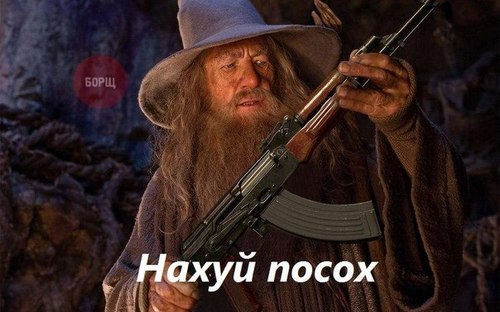 nanarobot54's profile picture. 