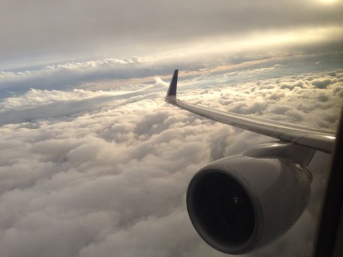 Uptown_Leo814's profile picture. Dreamer Extraordinaire