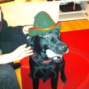 harry wyatt - @harrywyatt96 - Twitter