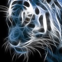 John  Quiroga - @Johnfnacho - Twitter