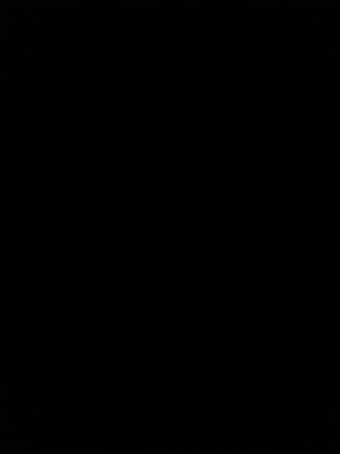 twetter11111's profile picture. 