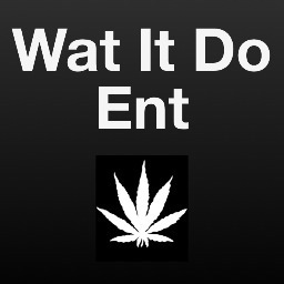 WatItDoEnt's profile picture. 