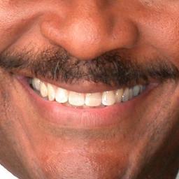 The lovely entity that resides just above Steve Pool's upper lip.