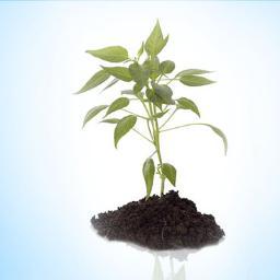 Campustiger is a new age platform to develop entrepreneurship among college students in india