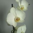 barbara cecot - @BarbaraCecot - Twitter