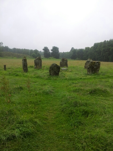 purplejeffer's profile picture. 