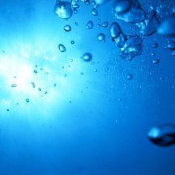 yakisobasya's profile picture. 179/80/36 岡山 🏸🏊