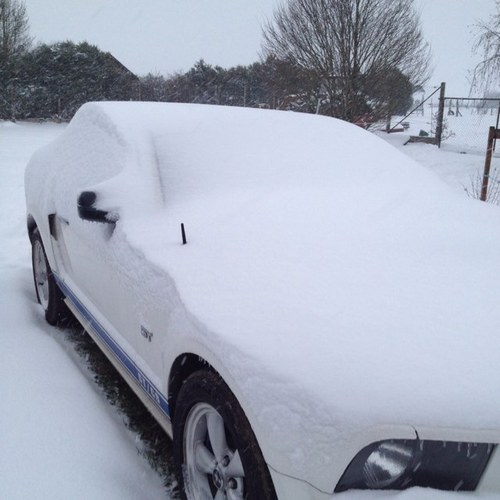 naut1co's profile picture. 