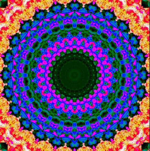 sarryxxxsarry's profile picture. 