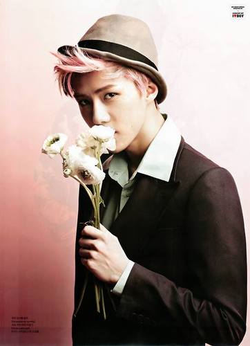 I'm K- POPers also EXOtics || ELF || Angles || Hottest || Inspirit || B2uty || Shawol Gamsamida^^