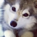 Xavier Alexander Vin - @XavXavierr - Twitter